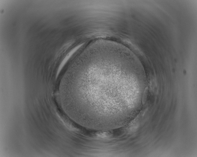 X0000078300070200611101144