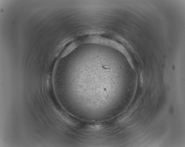 X0000078300071200611101144