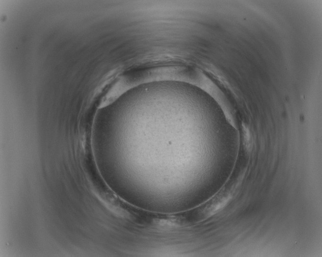 X0000078300072200611101144