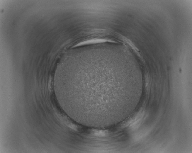 X0000078300073200611101144