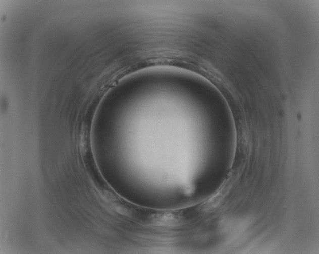 X0000078300074200611101144