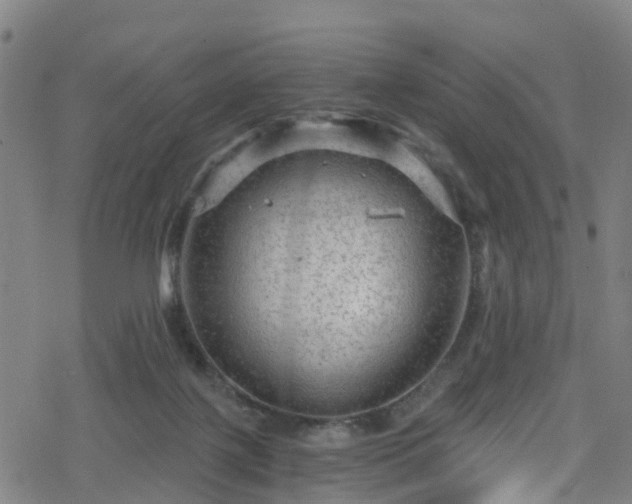 X0000078300075200611101144