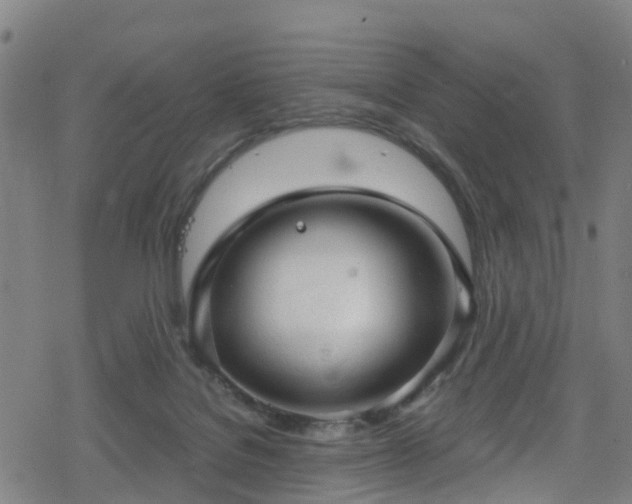 X0000078300076200611101144