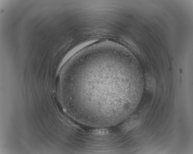 X0000078300077200611101144