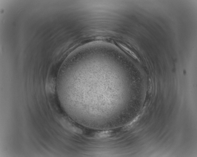 X0000078300078200611101144