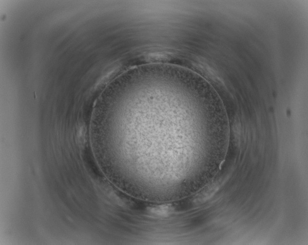 X0000078300079200611101144