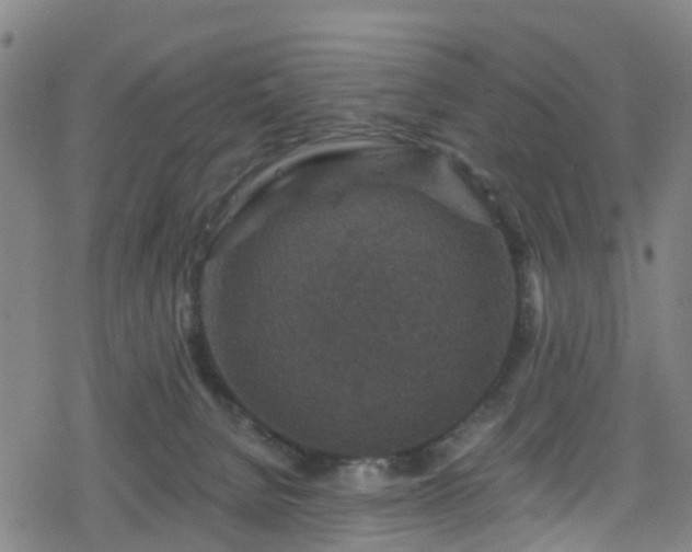 X0000078300080200611101144