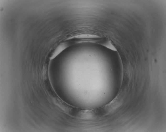 X0000078300082200611101144