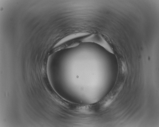 X0000078300084200611101144