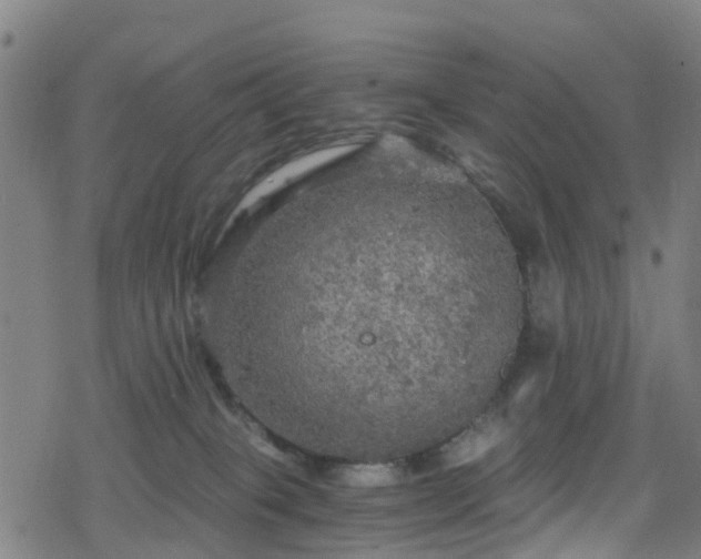 X0000078300085200611101144