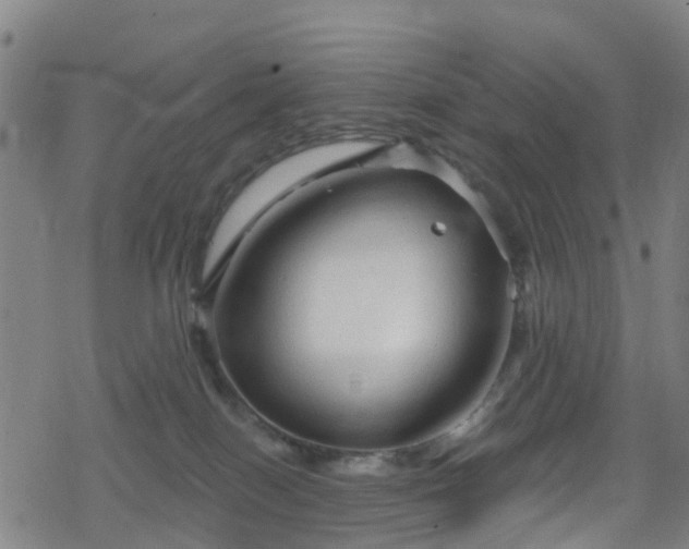 X0000078300086200611101144