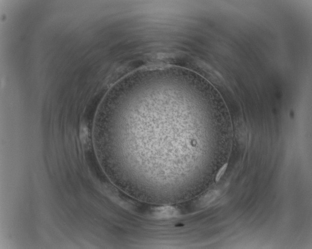 X0000078300087200611101144