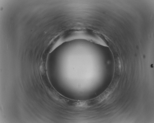 X0000078300088200611101144