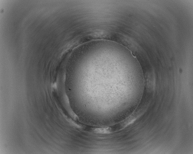 X0000078300089200611101144