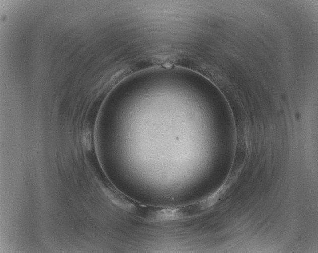 X0000078300090200611101144