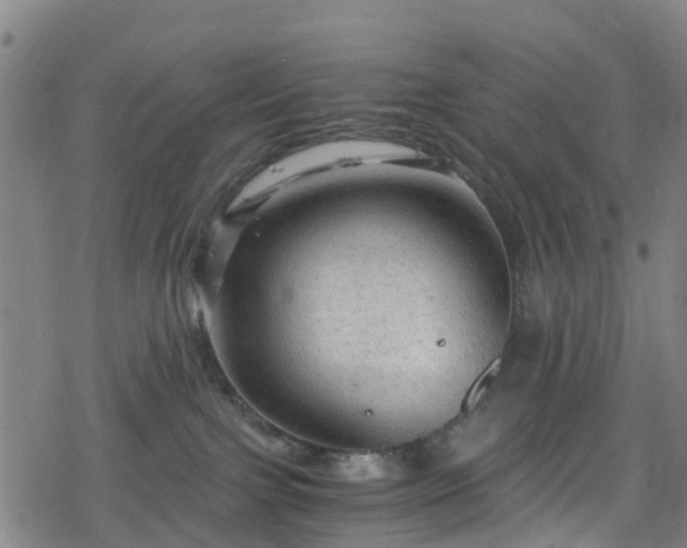 X0000078300091200611101144