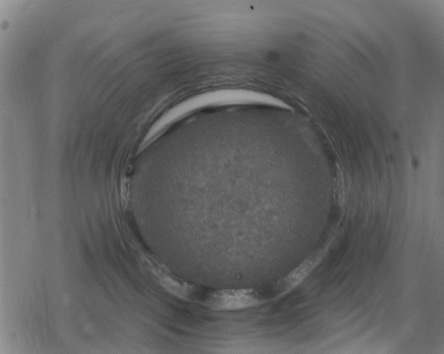 X0000078300093200611101144