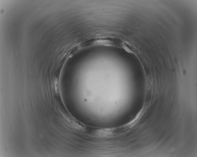 X0000078300094200611101144