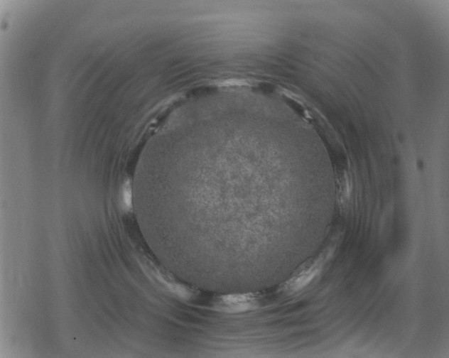 X0000078300095200611101144