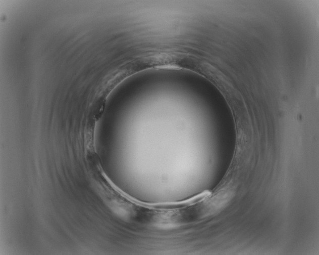 X0000078300096200611101144