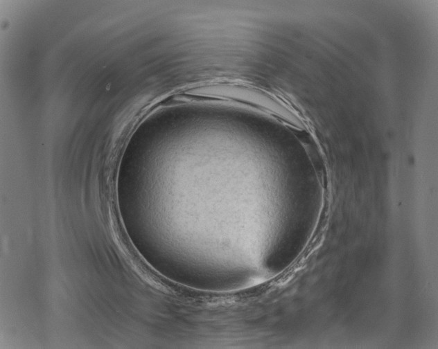 X0000078300097200611101144