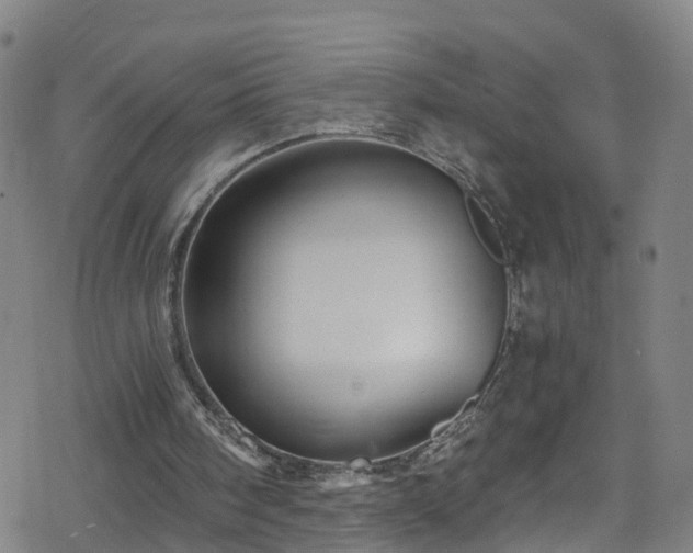 X0000078300098200611101144