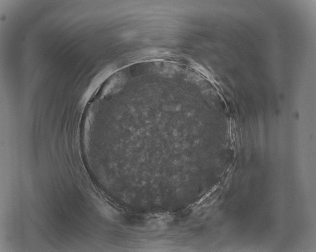 X0000078300099200611101144