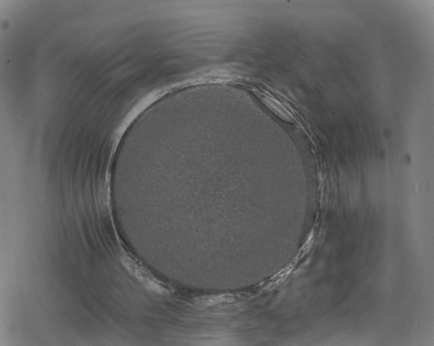 X0000078300100200611101144