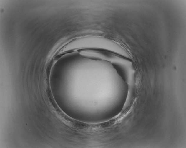 X0000078300101200611101144