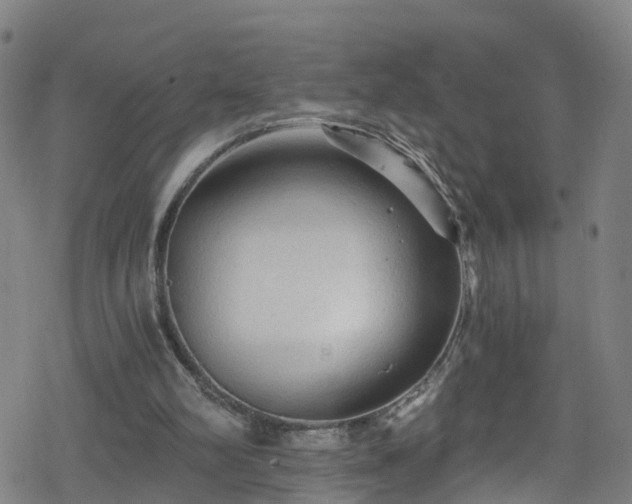 X0000078300102200611101144