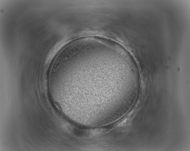 X0000078300103200611101144