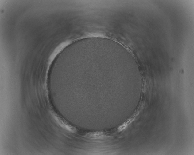 X0000078300104200611101143