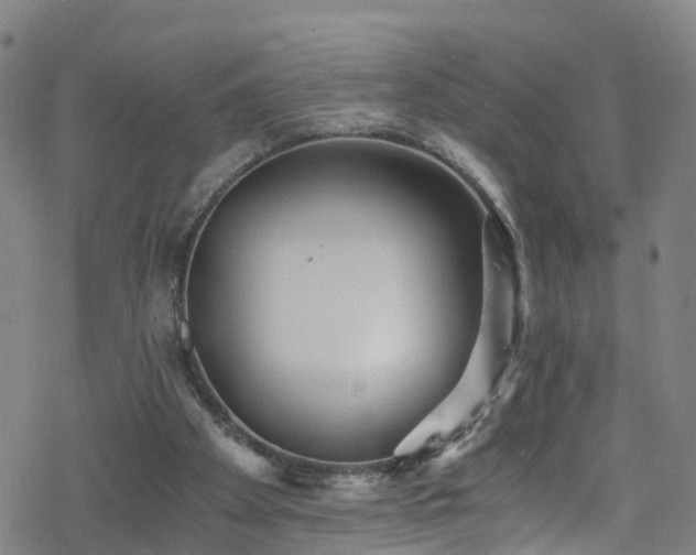 X0000078300105200611101143