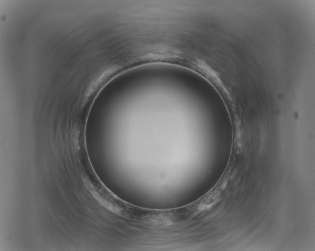 X0000078300106200611101143