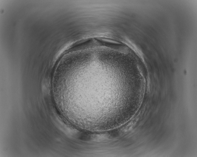 X0000078300107200611101143