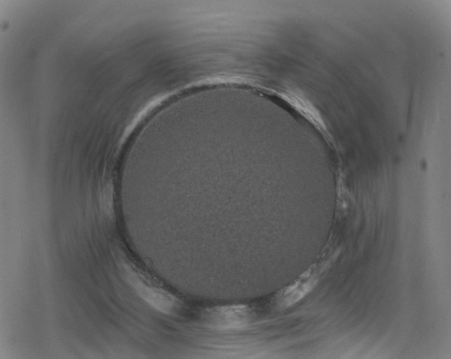 X0000078300108200611101143