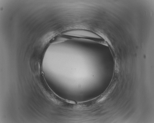 X0000078300109200611101143