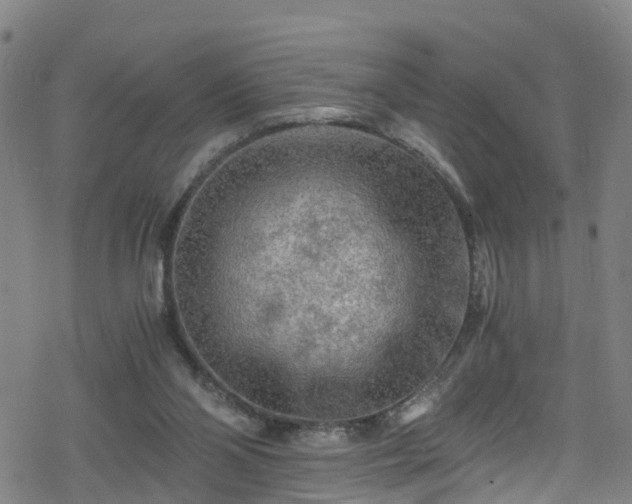 X0000078300110200611101143