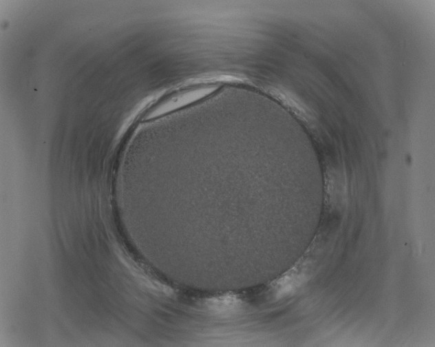 X0000078300112200611101143