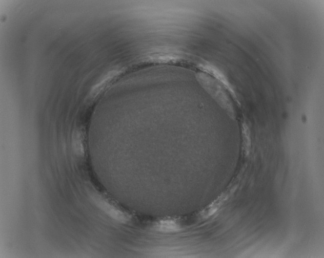 X0000078300114200611101143