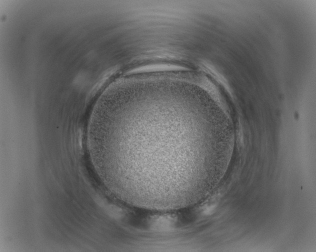 X0000078300115200611101143