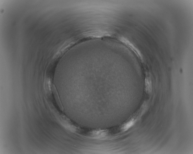 X0000078300117200611101143