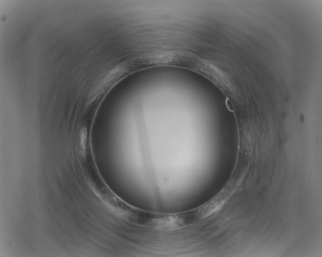 X0000078300118200611101143