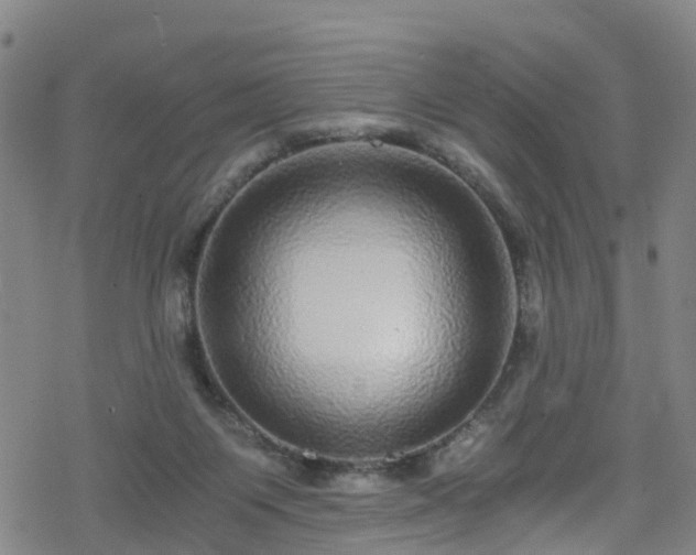 X0000078300119200611101143