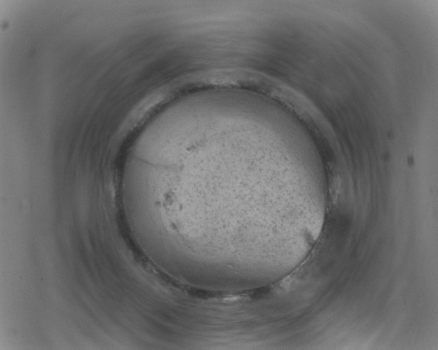 X0000078300120200611101143