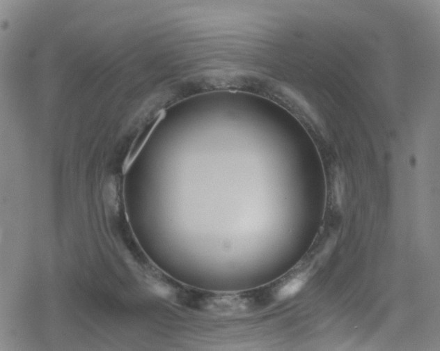 X0000078300121200611101143