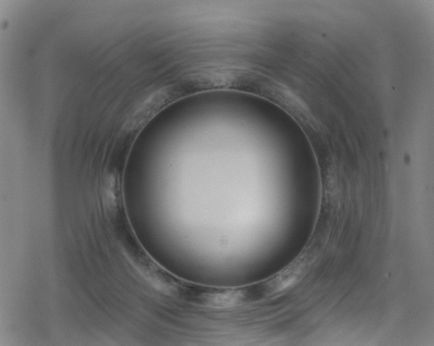 X0000078300122200611101143