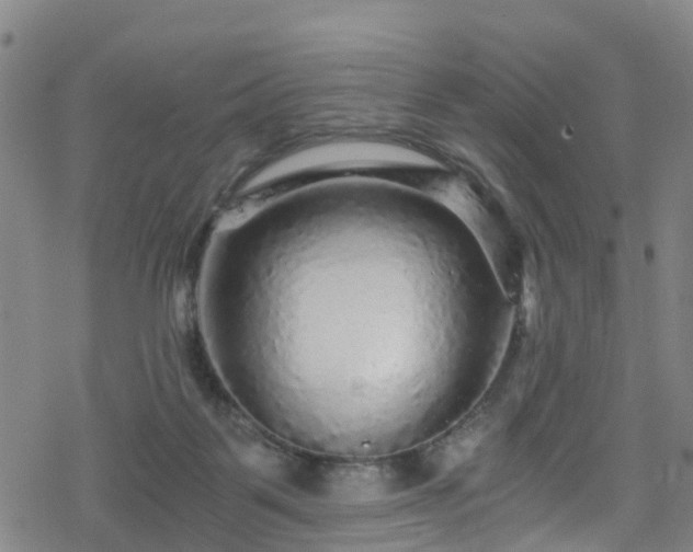 X0000078300123200611101143