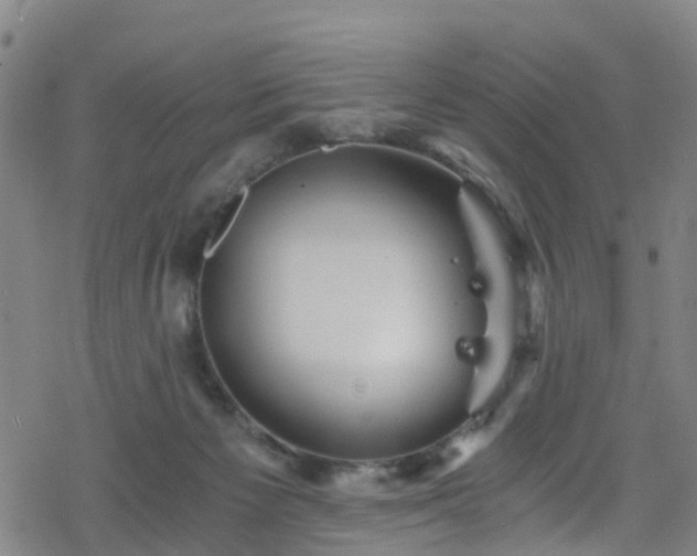 X0000078300125200611101143