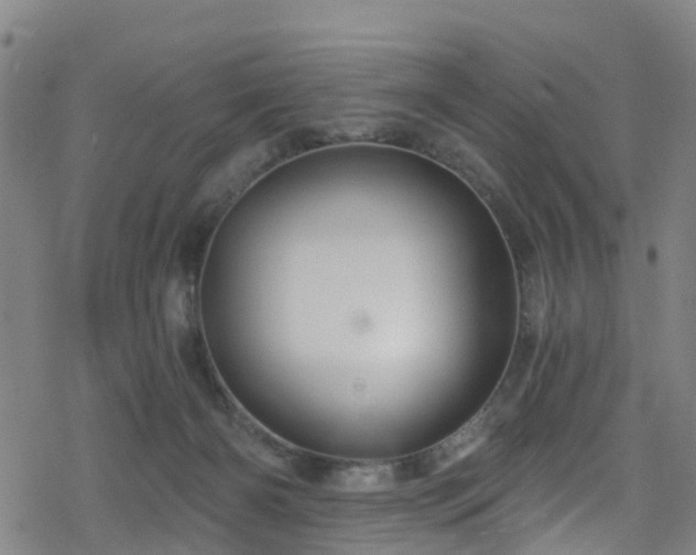 X0000078300126200611101143